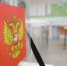 Свыше 49% избирателей проголосовали на выборах в Белгородскую областную Думу - Сетевое издание Ровеньская нива