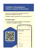 На портале «Госуслуги» можно уведомить о безнадзорном животном.