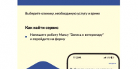 Заботиться о питомцах стало проще: записаться к ветеринару теперь можно на «Госуслугах». - Ровеньский район