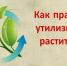 Власти Ровеньского округа рассказали об утилизации растительных отходов - Сетевое издание Ровеньская нива