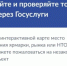 Сервисы для организации проверки законности торговли появились на «Госуслугах» - Сетевое издание Ровеньская нива
